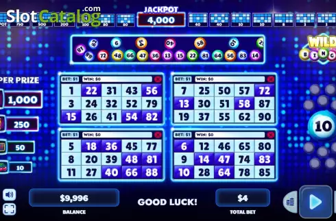 Скрин2. Wild Bingo слот