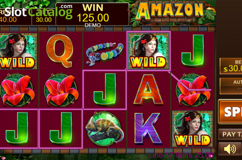Скрин3. Amazon (PlayStar) слот