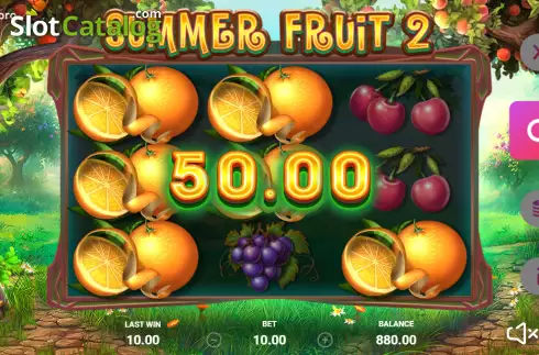 Скрин3. Summer Fruit 2 слот