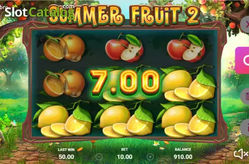 Скрин4. Summer Fruit 2 слот
