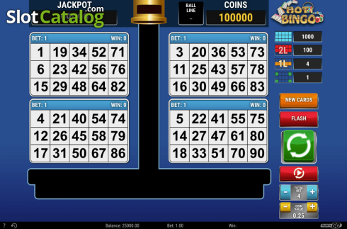 Скрин5. Hot Bingo (RCT Gaming) слот