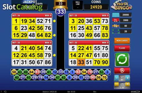 Скрин6. Hot Bingo (RCT Gaming) слот