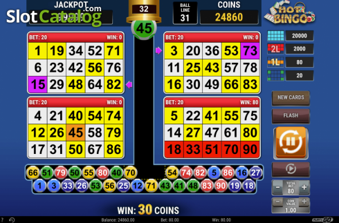 Скрин8. Hot Bingo (RCT Gaming) слот