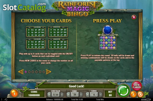 Скрин6. Rainforest Magic Bingo слот
