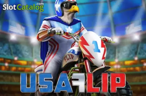 USA Flip логотип