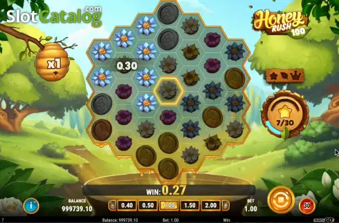 Скрин5. Honey Rush 100 слот