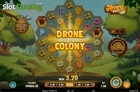 Скрин6. Honey Rush 100 слот