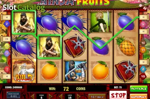 Скрин3. Ninja Fruits слот