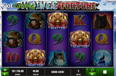 Скрин4. Wolves of Fortune слот