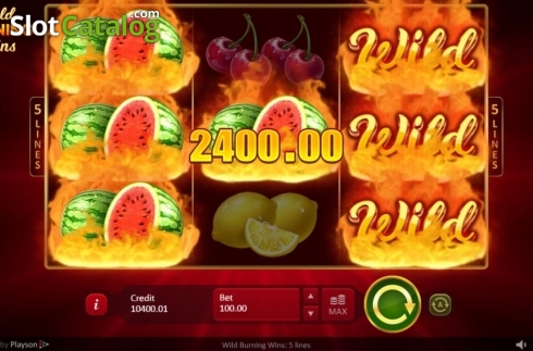 Скрин3. Wild Burning Wins: 5 lines слот