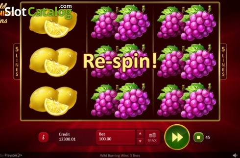Скрин4. Wild Burning Wins: 5 lines слот