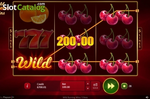 Скрин5. Wild Burning Wins: 5 lines слот