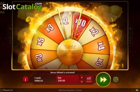 Скрин6. Wild Burning Wins: 5 lines слот