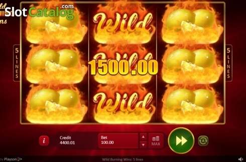 Скрин7. Wild Burning Wins: 5 lines слот