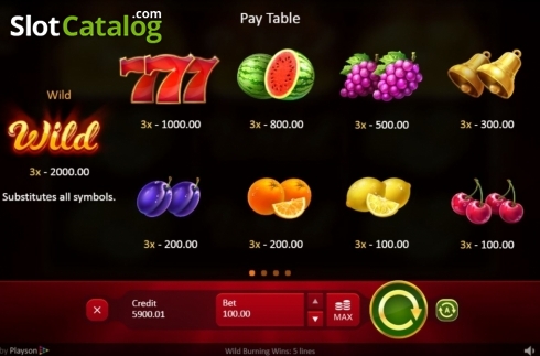 Скрин8. Wild Burning Wins: 5 lines слот