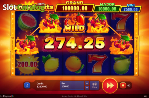 Скрин3. Sunny Fruits: Hold and Win слот
