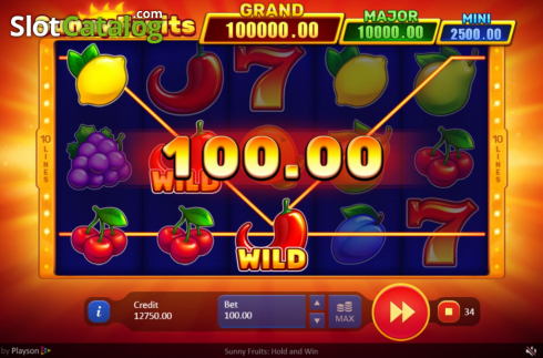 Скрин4. Sunny Fruits: Hold and Win слот