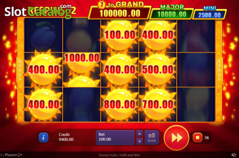 Скрин6. Sunny Fruits: Hold and Win слот