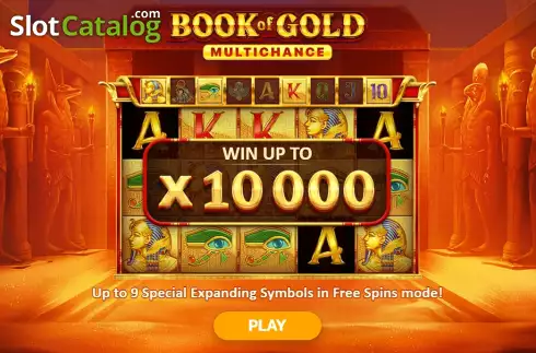 Скрин2. Book of Gold Multichance слот