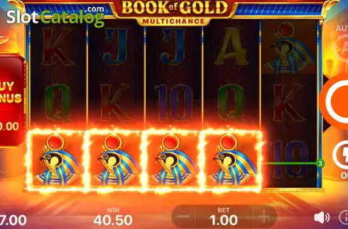Скрин5. Book of Gold Multichance слот