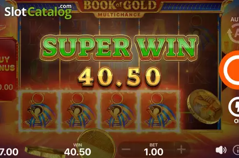 Скрин6. Book of Gold Multichance слот