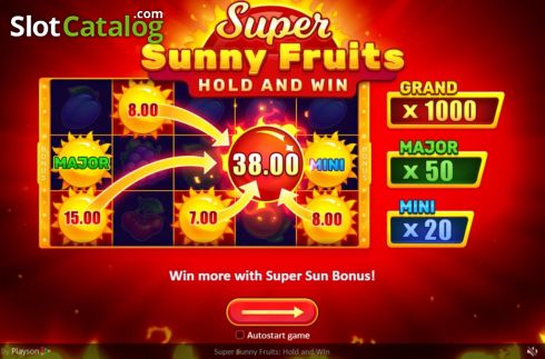 Скрин2. Super Sunny Fruits: Hold and Win слот