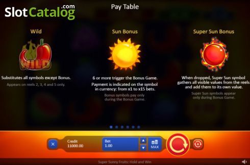 Скрин9. Super Sunny Fruits: Hold and Win слот