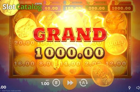Скрин6. Wolf Power: Hold and Win слот