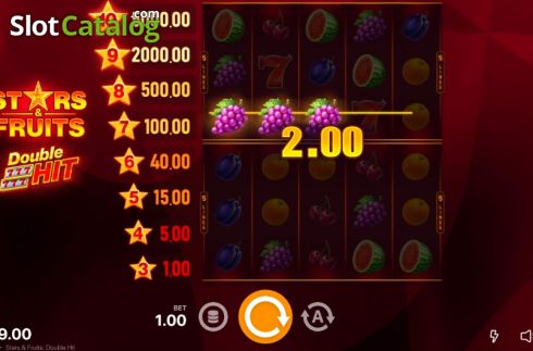 Скрин3. Stars & Fruits Double Hit слот