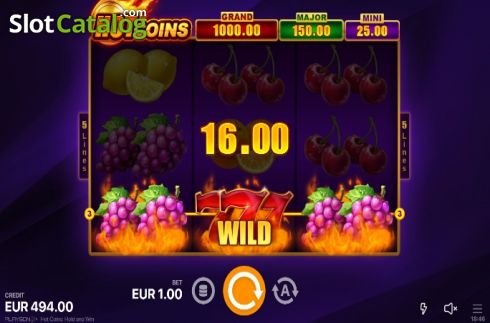Скрин5. Hot Coins Hold and Win слот