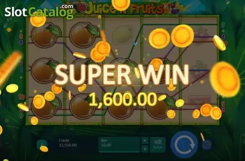 Скрин4. Juice and Fruits слот