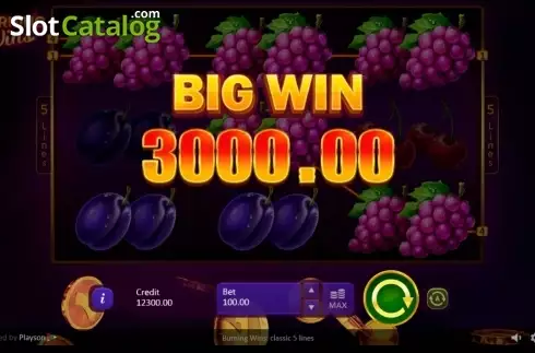 Скрин8. Burning Wins: classic 5 lines слот