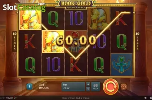 Скрин3. Book of Gold: Double Chance слот