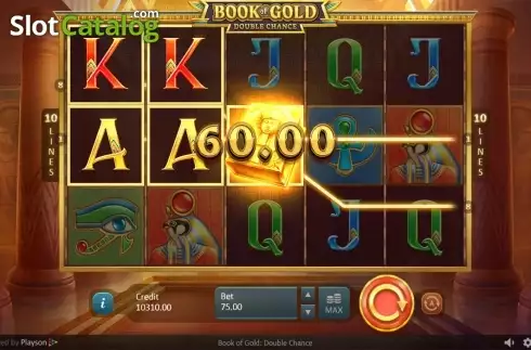 Скрин5. Book of Gold: Double Chance слот
