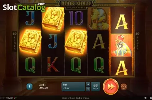 Скрин6. Book of Gold: Double Chance слот