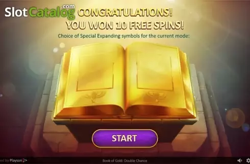 Скрин7. Book of Gold: Double Chance слот