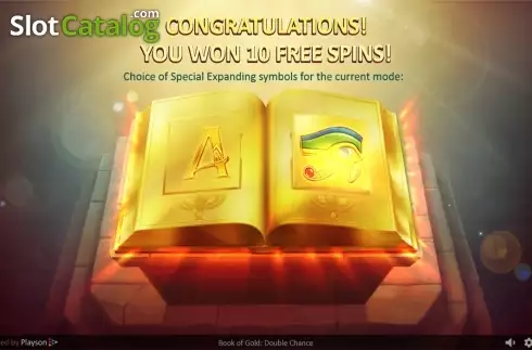 Скрин8. Book of Gold: Double Chance слот