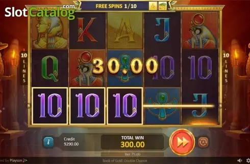 Скрин9. Book of Gold: Double Chance слот