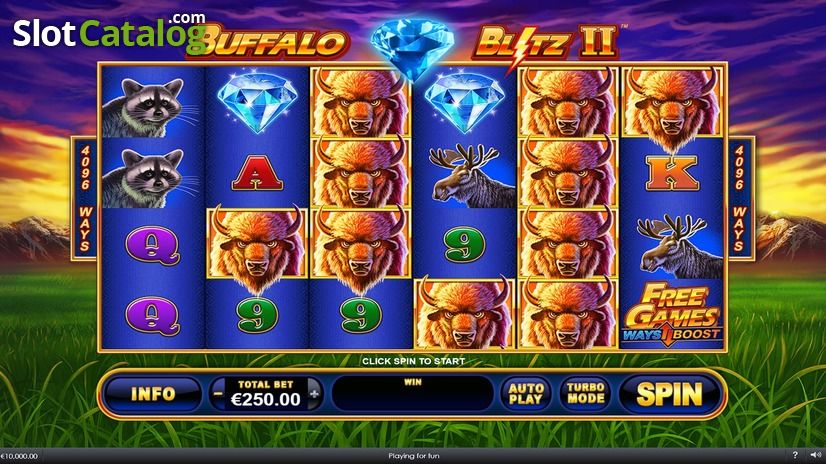 Buffalo-Blitz-II Buffalo-Blitz-II