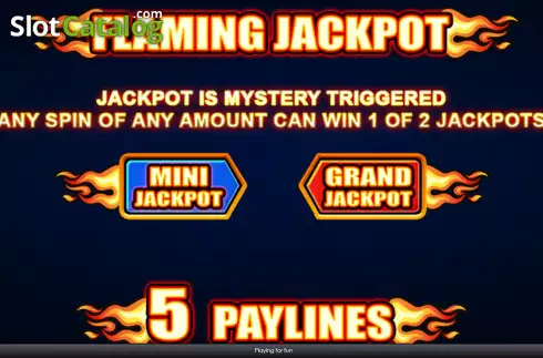 Скрин7. Flaming Bars (Playtech) слот