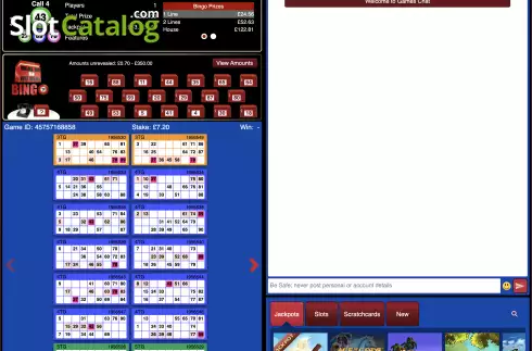 Скрин2. Deal Or No Deal Bingo слот