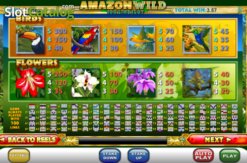 Скрин3. Amazon WIld слот