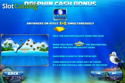 Скрин4. Dolphin Cash слот