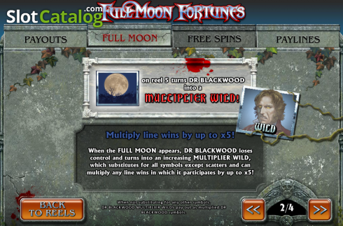 Скрин4. Fullmoon Fortunes слот