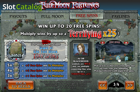 Скрин5. Fullmoon Fortunes слот