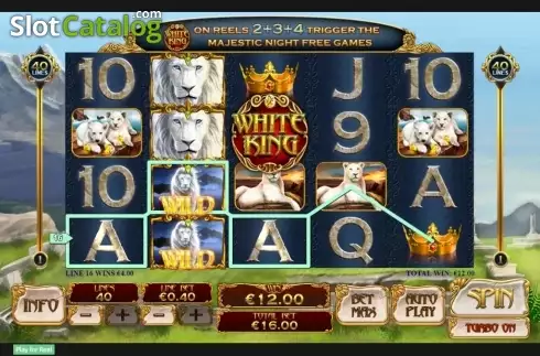 Скрин4. White King слот