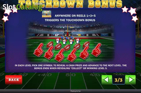 Скрин7. Touchdown Madness слот