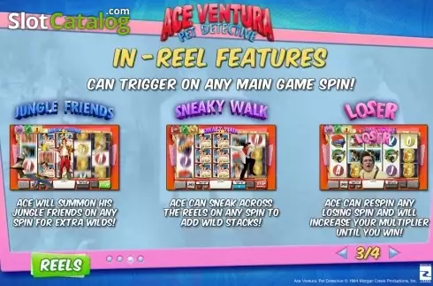 Скрин8. Ace Ventura (Playtech) слот