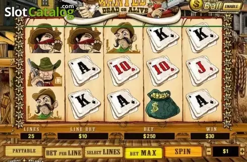 Скрин3. Wanted (Playtech) слот