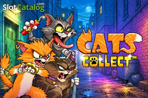 Cats Collect логотип Cats Collect логотип